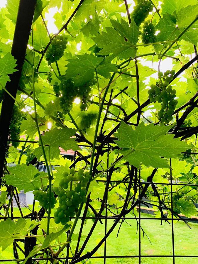 Atelier Onder De Notenboom Appeltern Εξωτερικό φωτογραφία